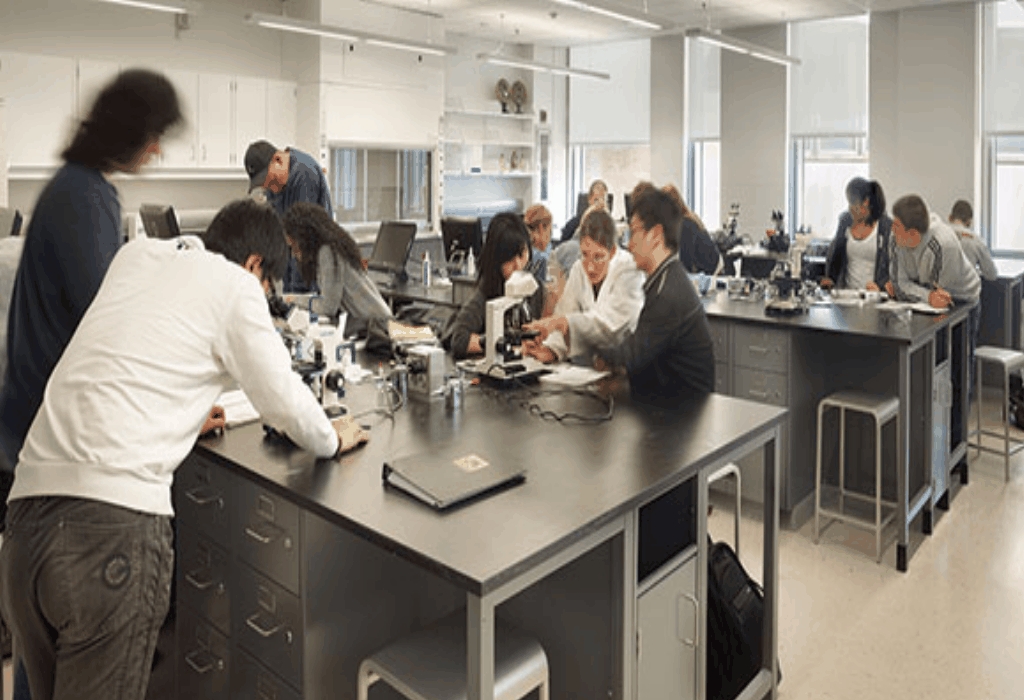 Engineering Program Education Scholarship Student