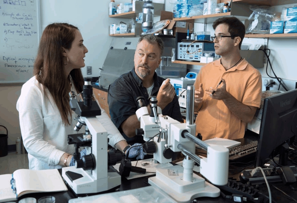 Engineering Degree Education Scholarships