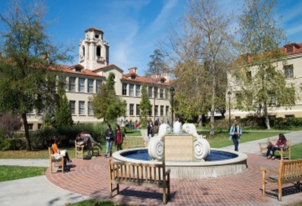Essay University Student Education Scholarships