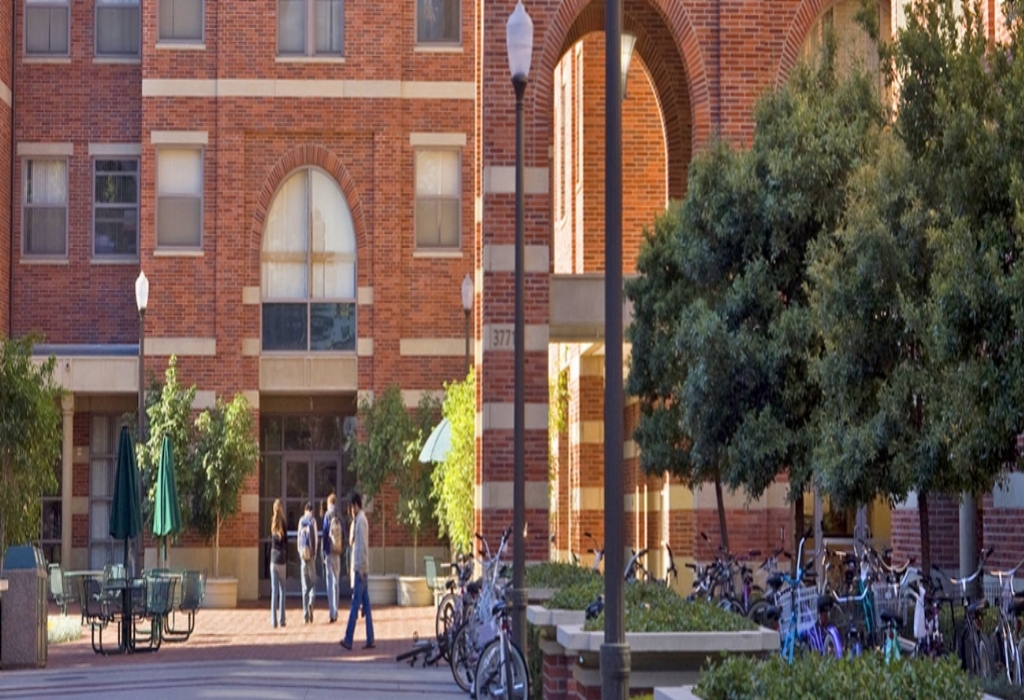 University Student Education Scholarships