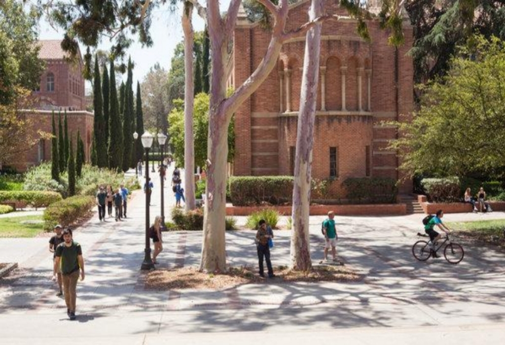 University Education Scholarships