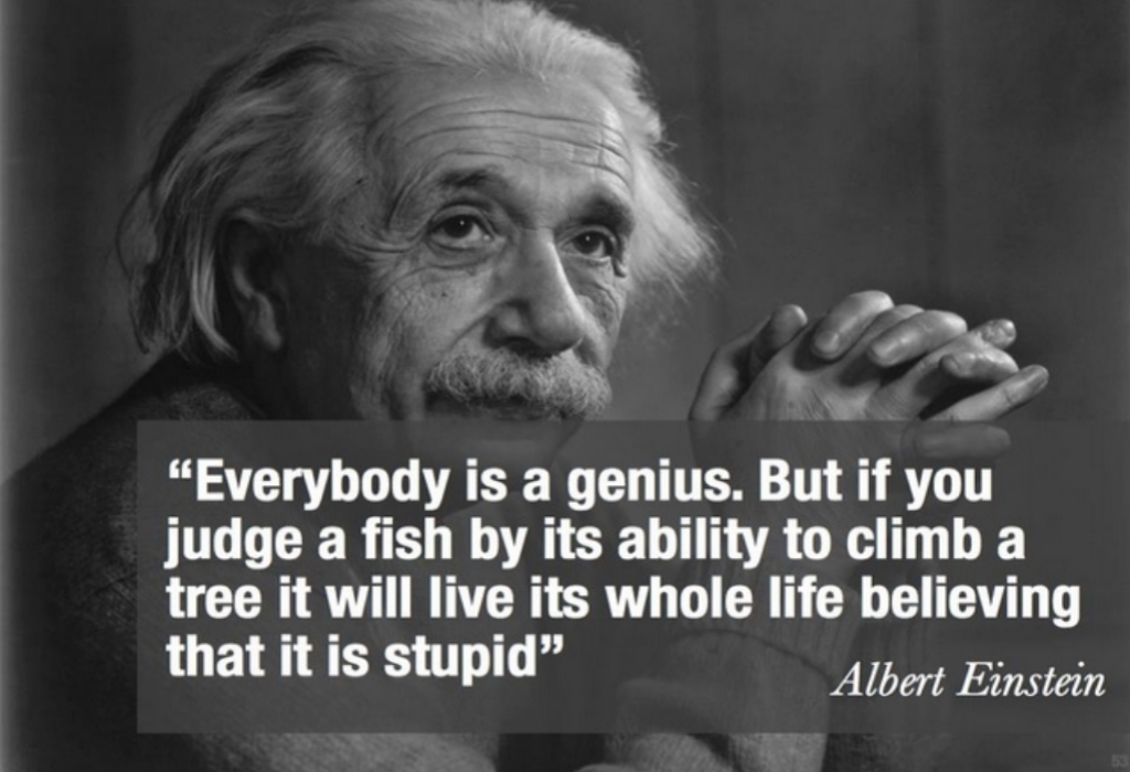 Science Education Scholarship Software