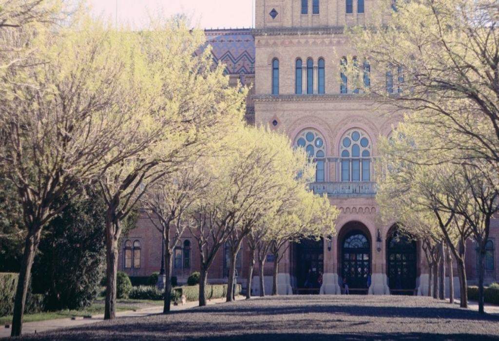 University Student Education Scholarships
